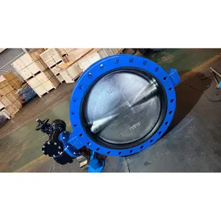 Double Flanged Butterfly Valves, DI, 32 Inch, CL150, Flanged