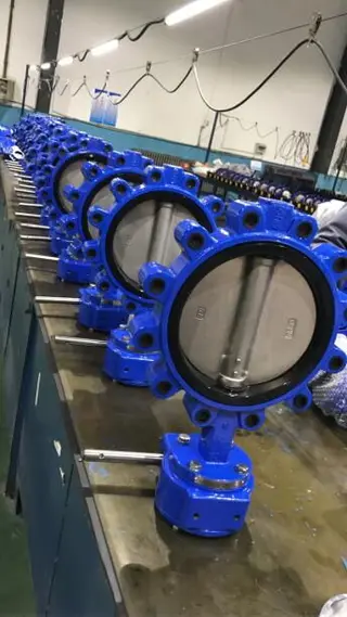 Epoxy Coated Butterfly Valve