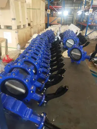Cast Iron Lug Butterfly Valve
