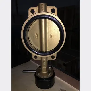 Aluminum Bronze B148 C95400 Butterfly Valve, 8 Inch, 150 LB
