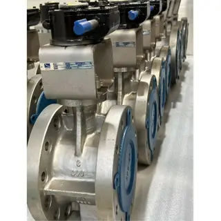 Class 300 LB Double Offset Butterfly Valve, 8 Inch, ASTM A995 5A