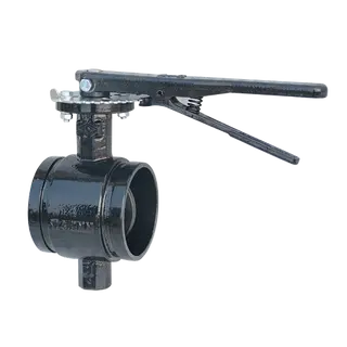 ASTM A536 65-45-12 Butterfly Valve, MSS SP-67, 2-12 Inch