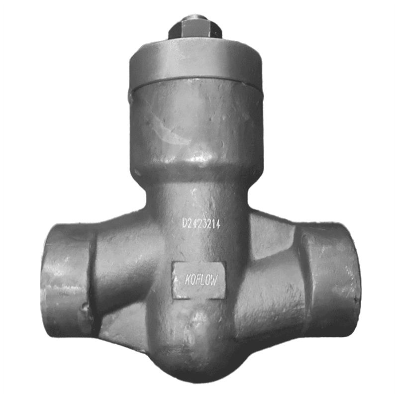 API 602 Lift Check Valve, ASTM A105, 2 Inch, CL 800 LB, SW