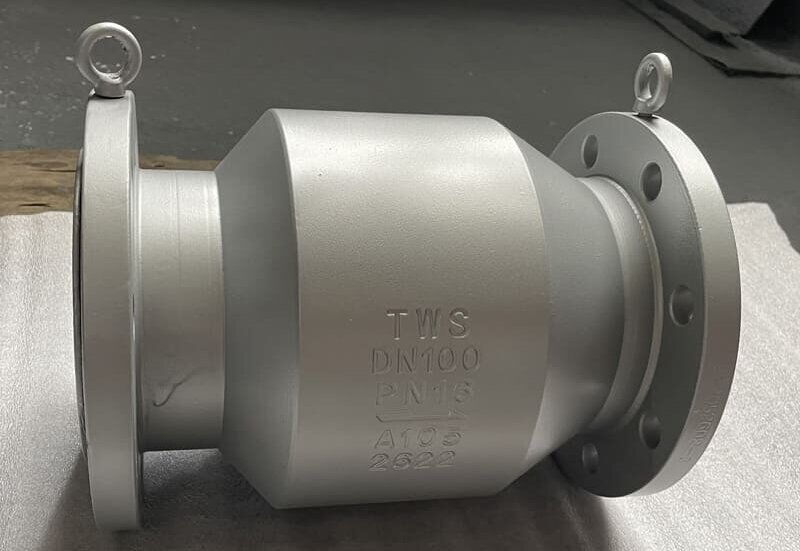 Axial Flow Check Valve