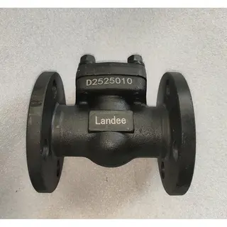 Lift Check Valve, ASTM A105, API 602, Trim 12#, 1 IN, 150 LB