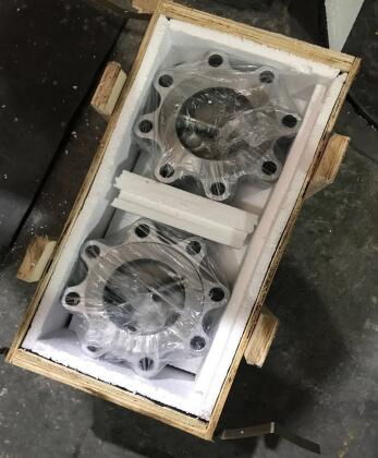 Dual Plate Lug Check Valve