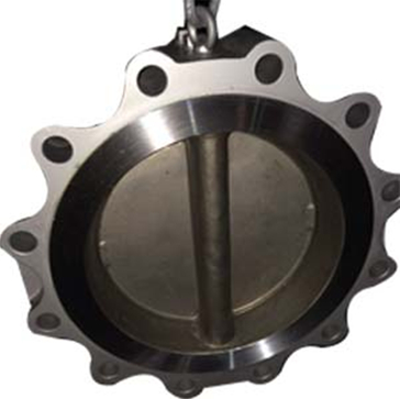Dual Plate Lug Check Valve, ASTM A216, 12 Inch