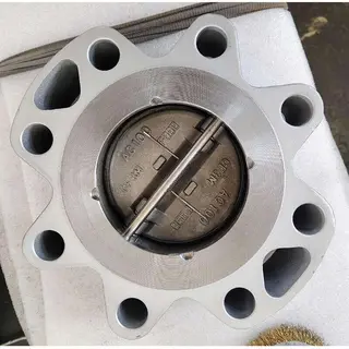 API 594 Type A Dual-Plate Check Valve, Lug, WCB, 4 IN, CL300