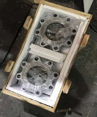 Dual Plate Lug Check Valve