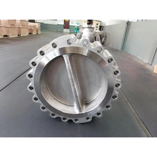 Dual Plate Lug Check Valves, API 594, CF8, 20 IN, CL150 LB