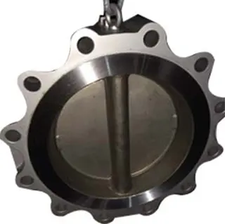 Dual Plate Lug Check Valve, ASTM A216, 12 Inch