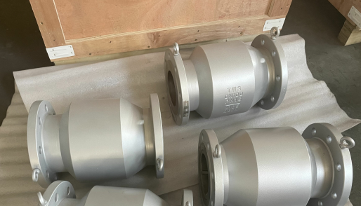 check valve