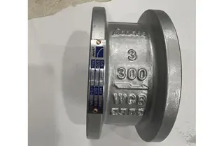 Wafer Check Valve