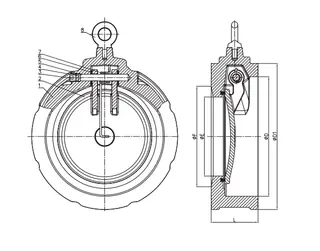 Drawing for Wafer Check Valve