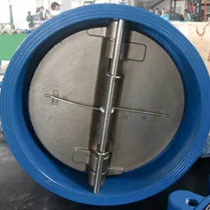 Double Disc Check Valve, API 609, BS 5153, EN 12334, Cast Iron