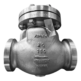 Tilting Disc Check Valve