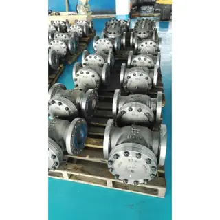 ASTM A216 WCB Check Valves, API 6D, 6 IN, 300 LB, RF Flanged