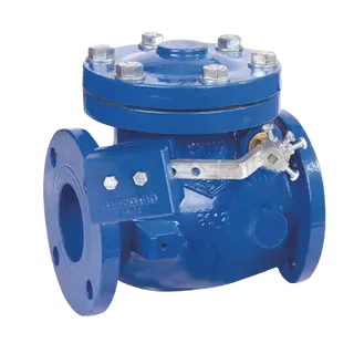 Swing Check Valve with Weight and Lever, 300 PSI, FBE Coated