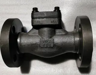 ASTM A350 LF2 Check Valve, LF2, API 602, ISO 15761, 600 LB