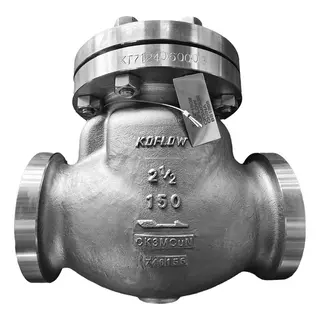 API 598 Tilting Disc Check Valve, CK3MCuN, 2-1/2 IN, CL150 LB