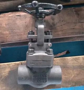 Socket Weld Globe Valve, ASTM A105N, DN15, PN250