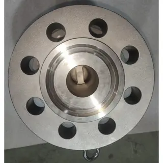Dual Plate Check Valve