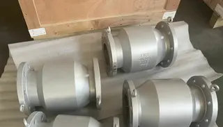 check valve