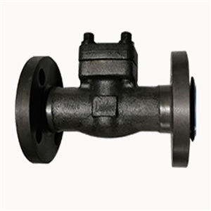 1 Inch Swing Check Valve, ASTM A350 LF2, 800 LB, RF Ends