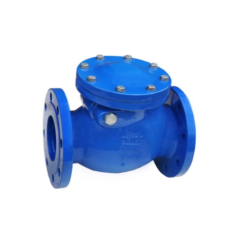 DIN, ANSI, BS Swing Check Valve, Cast Grey Iron, 6 Inch