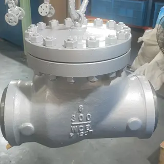 Swing Check Valves, Carbon Steel WCB, 6 Inches, CL300 LB, BW