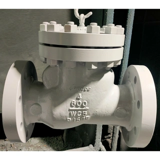 Swing Check Valve, Trim 10#, Carbon Steel, WCB, 4 IN, 600 LB