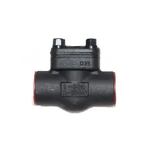 API 602, BS 5352 Swing Check Valve, 1/2 - 2 Inch