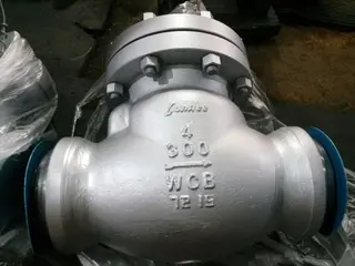 WCB Check Valve, DN100, PN50, Grey Painting