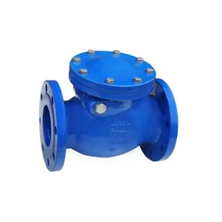 DIN, ANSI, BS Swing Check Valve, Cast Grey Iron, 6 Inch