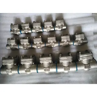 Stainless Steel ASTM A182 F316 Swing Check Valve