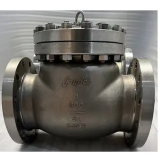 Duplex SS 2207 Swing Check Valve, 8 Inch, 300 LB, ASTM A995 5A