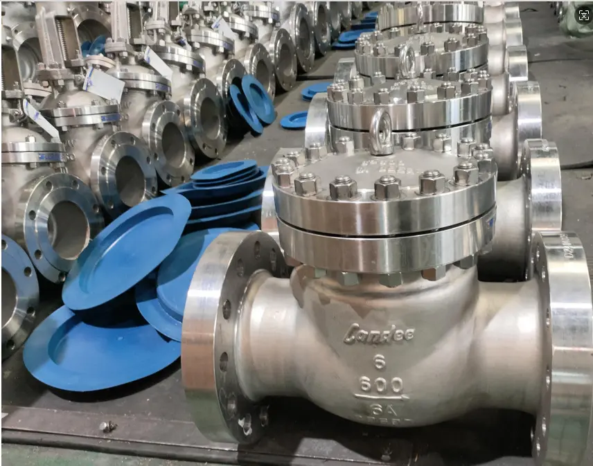 Channel Check Valve Duplex Stainless Steel Swing Check Valves, A990 6A, API 6D - Landee