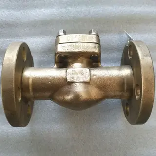 B148 C95800 Swing Type Check Valve, DN20, PN50, Flanged