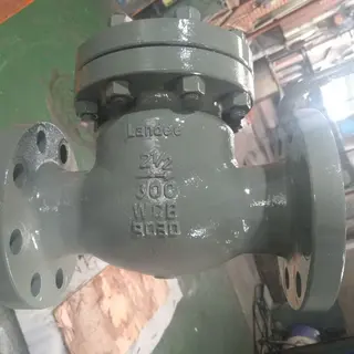 Carbon Steel Swing Check Valve, WCB, Trim 1#, 2-1/2 IN, CL300