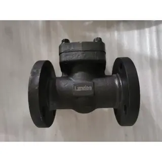 Carbon Steel Swing Check Valve, A105, 4 IN, CL300, Flanged