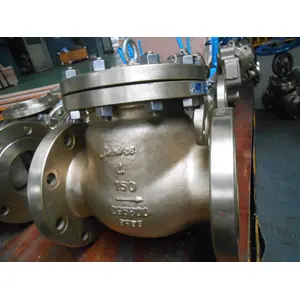 Alumium Bronze B148 C95800 Swing Check Valve, 4IN, 150LB, Flanged End