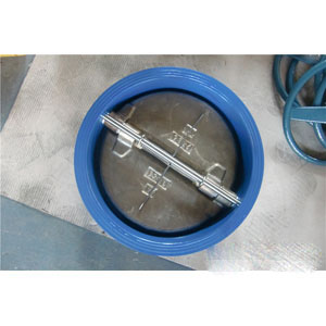 Butterfly Check Valve, Wafer Type, Cast Iron