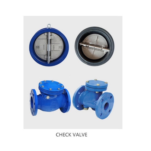 Cast Ductile Iron Check Valve, 1/2-24 IN, ANSI, BS, DIN