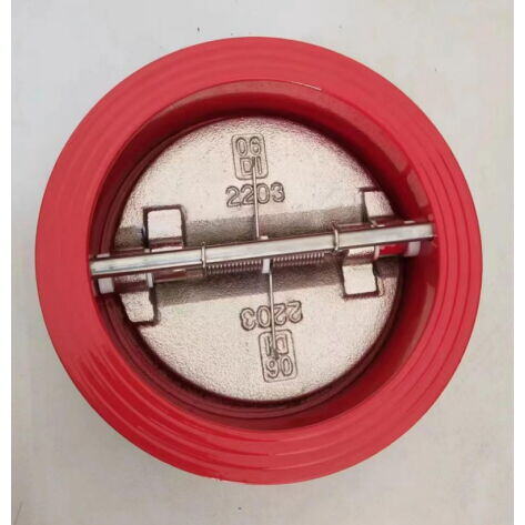 Double Disc Check Valves