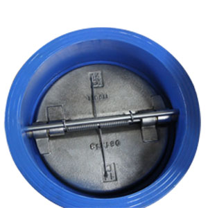Double Disk Wafer Check Valve, 14 Inch, PN16