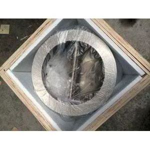 EPDM Seated Wafer Check Valve, Double Disk