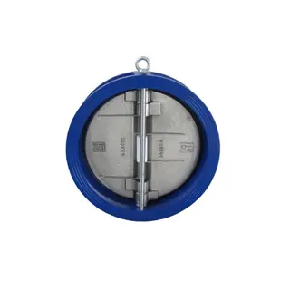 DIN 3202 Dual Plate Wafer Check Valve, Cast Iron, DN250