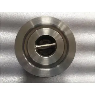 Dual Plate Wafer Check Valve