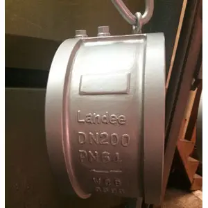 Dual Plate Check Valve, WCB, DN200, PN64