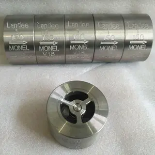 Monel Wafer Check Valve, Single Disc, DN25, PN20, Oxygen Service